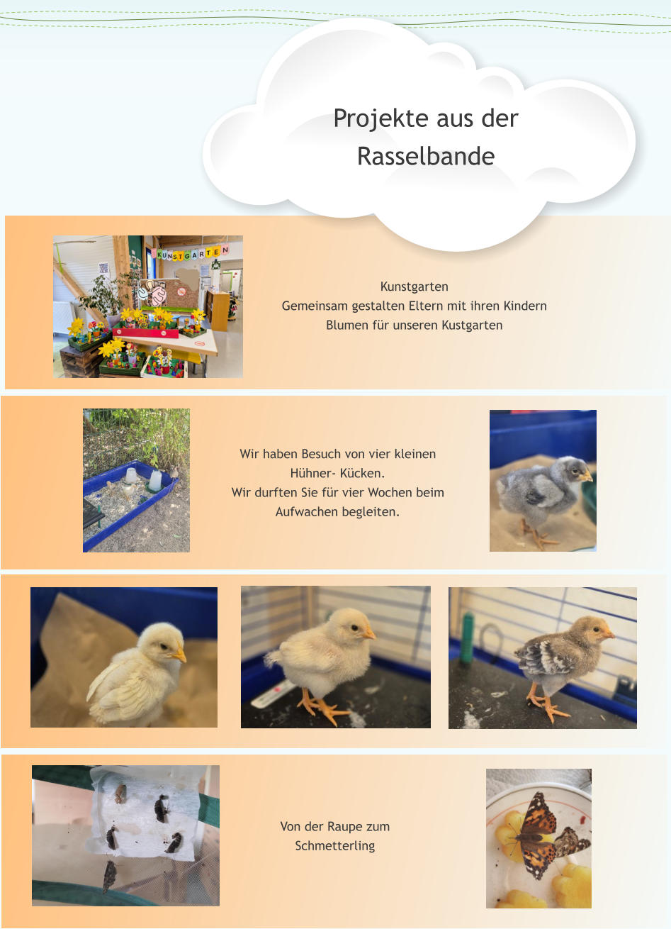 Kunstgarten Gemeinsam gestalten Eltern mit ihren Kindern Blumen fr unseren Kustgarten Wir haben Besuch von vier kleinen Hhner- Kcken.  Wir durften Sie fr vier Wochen beim Aufwachen begleiten. Von der Raupe zum Schmetterling Projekte aus der Rasselbande